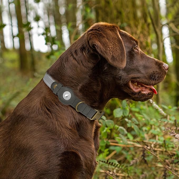 Reflective Leather Dog Collar with AirTag Holder - Soft Apple Airtag Dog Collar with Metal Buckle - Safety Cotton Pet Collars for Dogs Small Large Dogs Puppy (Grey, XS, 9"-12")