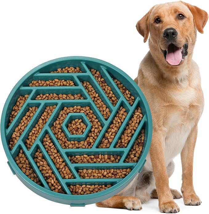 WHIPPY Slow Feeder Dog Bowl, Puzzle Maze Design to Slow Down Eating, 3-Cup Capacity, Anti-Gulping Food Bowl for Medium & Large Dogs,Green