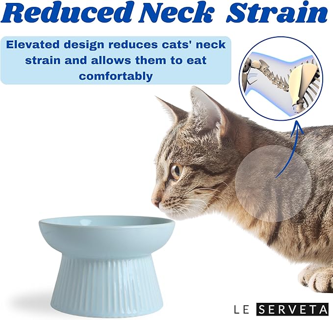 Ceramic Slow Feeder Cat Bowl, Raised Puzzle Feeder, Anti Vomiting Cat Slow Feeder, Elevated Food Bowl, Whisker Friendly Cat Bowl (Blue)