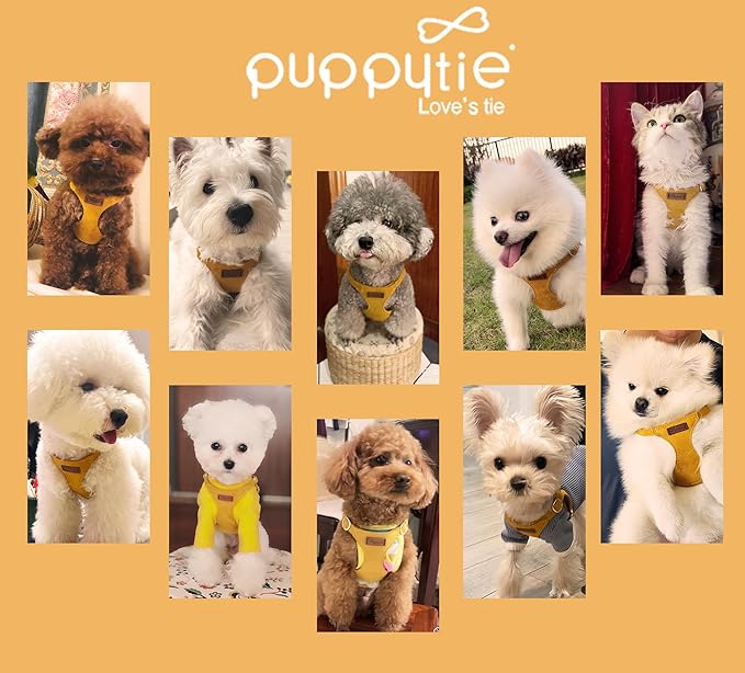 Puppytie No Pull xs Dog Harness with Multifunction Dog Leash,Soft Adjustable No Choke Escape Proof Pet Harness Vest,Yellow,XS