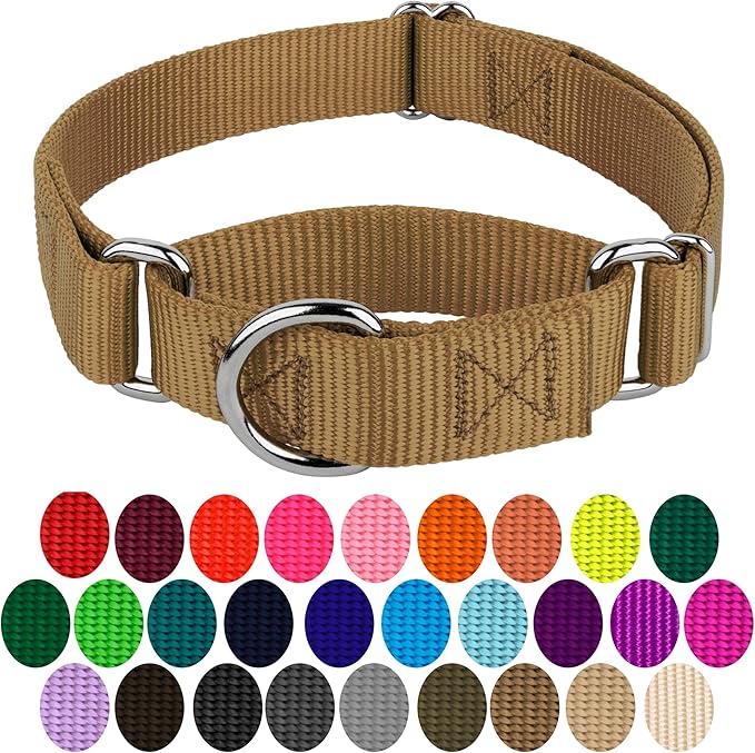 Country Brook Petz - Martingale Dog Collar - Heavy-Duty Training Collar with No Buckle - Service Dog Collar for All Pups - 10+ Warm Colors (Coyote Tan, 3/4 Inch, Small)