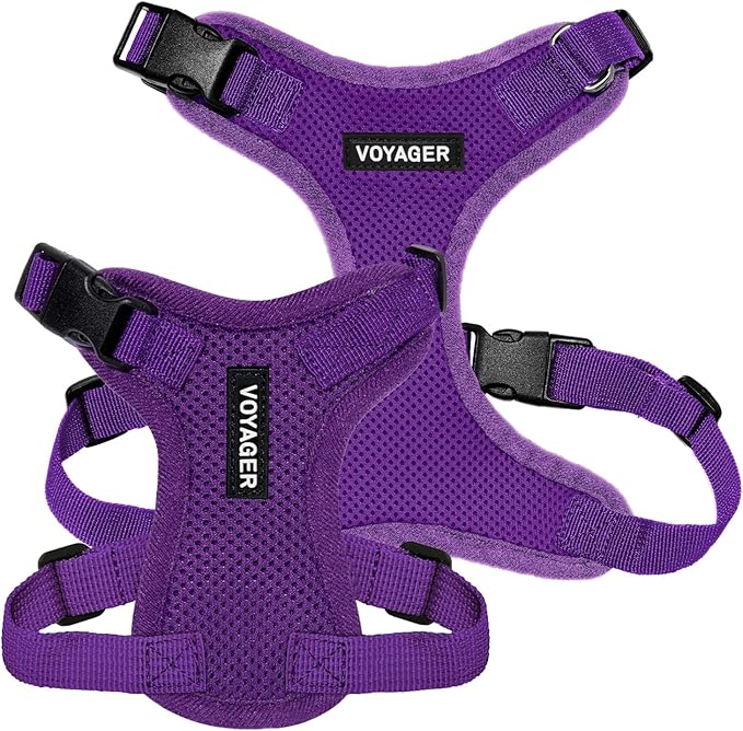 Voyager Step-in Pet Harness - All Weather Mesh, Adjustable Step in Harness for Cats and Dogs by Best Pet Supplies - Purple, XL