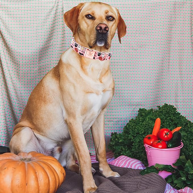 Elegant little tail Halloween Dog Collar, Autumn Pet Collar Durable Pink Dog Collars Male or Female Holiday Pet Gift Adjustable Dog Collar for X-Large Dogs