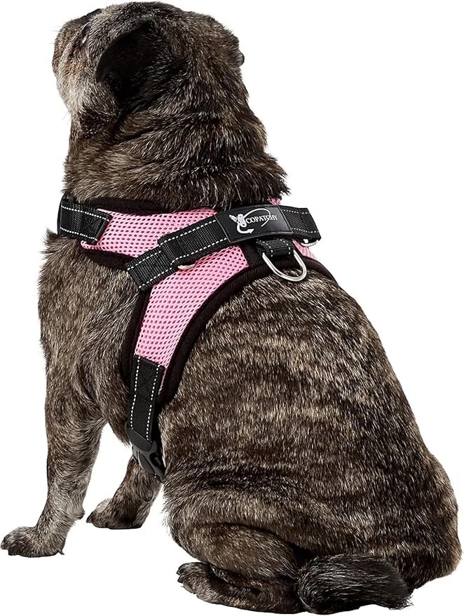 No Pull Reflective Adjustable Dog Harness With Handle- Comfortable Soft All Weather Mesh, Easy On Puppy Harness For Small Medium and Large Dogs (Pink) Medium