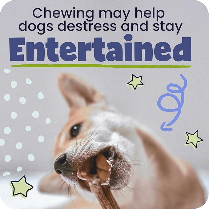 Pawstruck All-Natural 7" Bully Sticks for Dogs - Long Lasting, Rawhide-Free, Low Odor & Grain-Free Dental Chew Treat - Healthy Single Ingredient, 100% Real Beef - 1 lb Bag