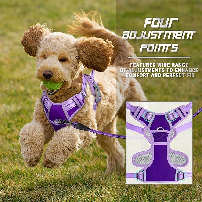 BARKBAY No Pull Dog Harness Front Clip Heavy Duty Reflective Easy Control Handle for Large Dog Walking(Violet Purple & Purple,S)