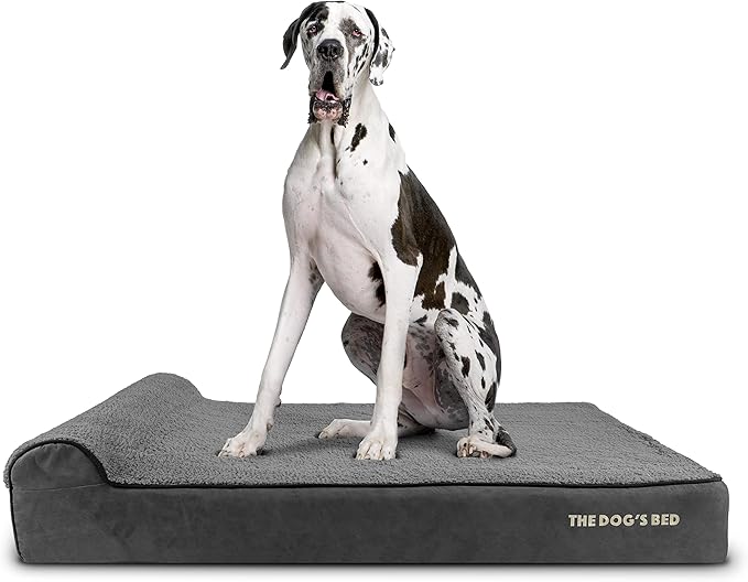 The Dog’s Bed Orthopedic Memory Foam Dog Bed with Headrest, Plush Fabric, Grey Plush, XXL, 6-Inch