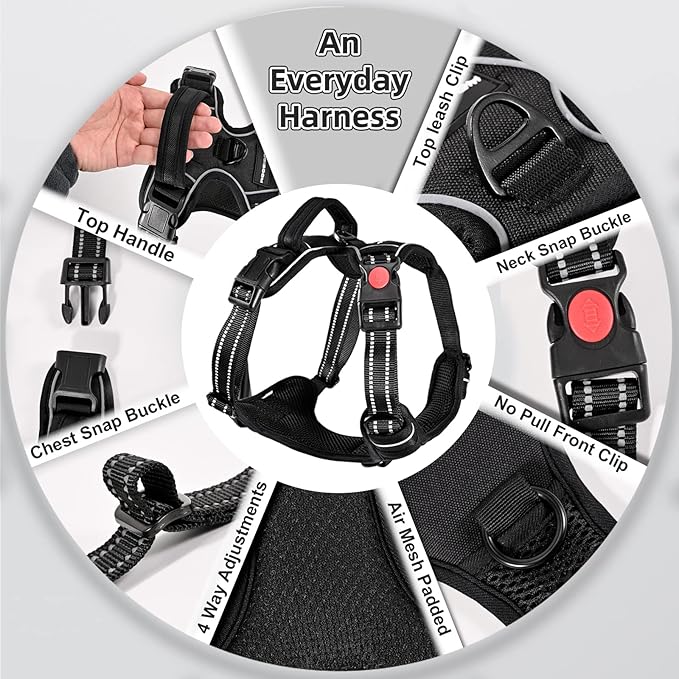 No Pull Dog Harness with A Free Heavy Duty 5ft Dog Leash, Adjustable Soft Padded Dog Vest, Reflective No-Choke Pet Oxford Vest with Easy Control Handle for Small and Large Dogs(Black, Large)