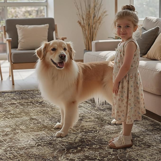 DCX Washable 9x12, Kid & Pet Friendly with Rubber Back Non Slip, Stain Resistant Vintage Rug for Living Room, Bedroom, Home Office, Soft Low Pile Large Farmhouse Distressed Carpet, Brickred