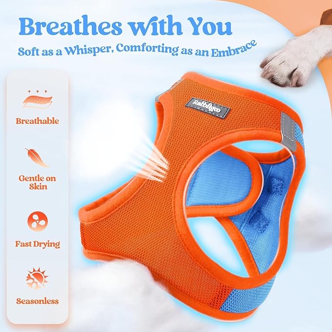 rabbitgoo Dog Harness Small Sized and Leash Set, Step in Soft Light Puppy Vest, Breathable Mesh Pet Harness, Reflective for Safe Easy Walking, Blue & Orange XXS