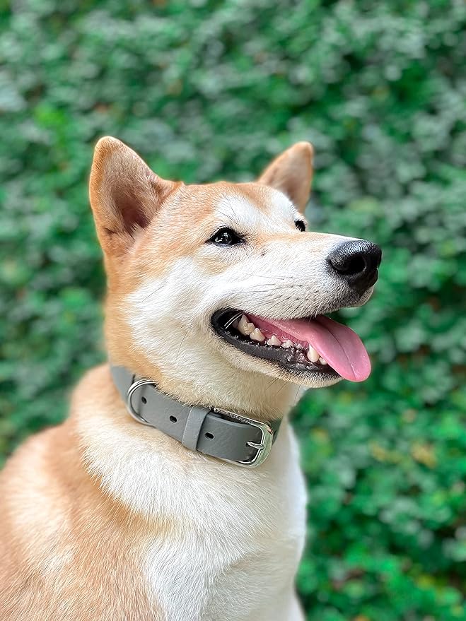 Tuff Pupper Classic Heavy Duty Dog Collar | 10x Stronger Than Leather | 100% Waterproof & Odor Proof Dog Collar | Tough Rust-Proof All Metal Hardware
