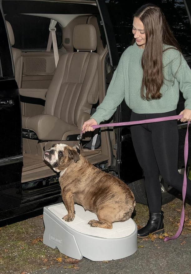 Pet Gear Stramp Stair and Ramp Combination for Dogs/Cats, Easy Step, Lightweight/Portable, Sturdy, Easy Assembly (No Tools Required), Essential Grey