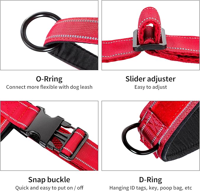 Annchwool No Pull Dog Harness with Padded Handle+5 Ft Leash,Reflective Strip Escape Proof and Quick Fit to Adjust Dog Harness,Easy for Training Walking for Small & Medium and Large Dogs(Red-Set,S)