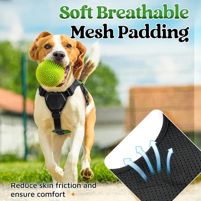 rabbitgoo Escape Proof Dog Harness, Soft Padded Full Body Pet Harness, Reflective Adjustable No Pull Vest with Lift Handle and Lesh Clip for Large Dogs Walking Hiking Training, S, Green