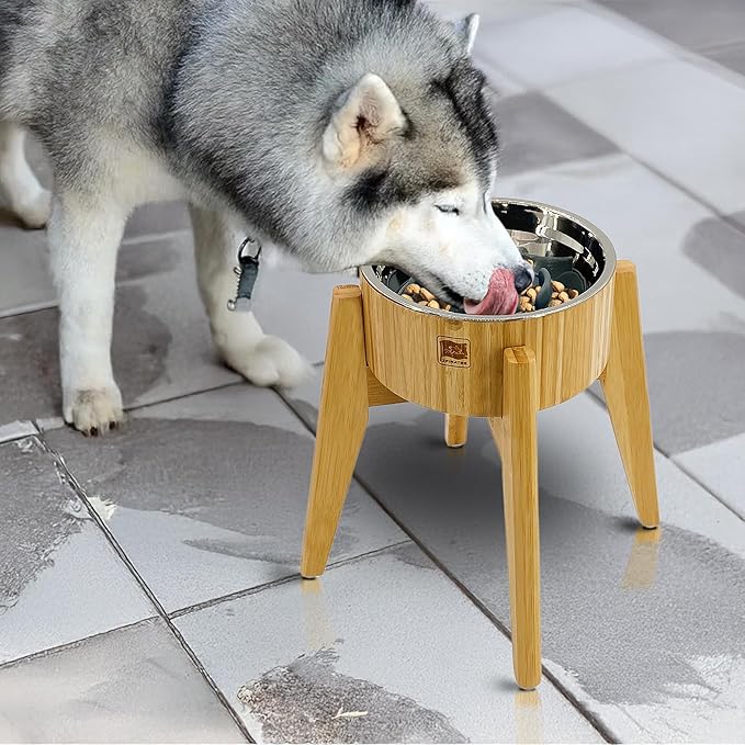 Dog Bowl Slow Feeder - 12-inch Tall, Elevated, Raised Single Food Station with Stand and Slow Feeder Insert, Suitable for Treats, Wet/Dry Pet Foods