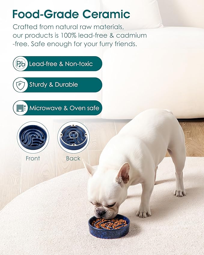 vancasso Slow Feeder Dog Bowl, 0.6 Cup Ceramic Slow Feeding Food Dish for Small Breed, Puzzle Dog Food Bowl for Fast Eater, Blue