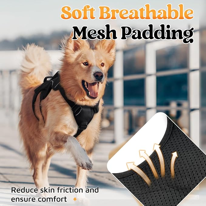 rabbitgoo Escape Proof Dog Harness, Soft Padded Full Body Pet Harness, Reflective Adjustable No Pull Vest with Lift Handle and Leash Clip for Large Dogs Walking Hiking Training, L, Black