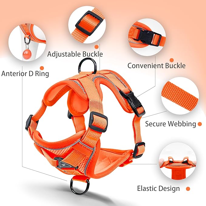 No Pull Dog Harness with Leash Set for Small Sized Dog, Reflective Adjustable No Choke Front Clip Cat Vest Harness with Breathable Mesh, Comfortable Soft Padded Pet Vest, Orange S