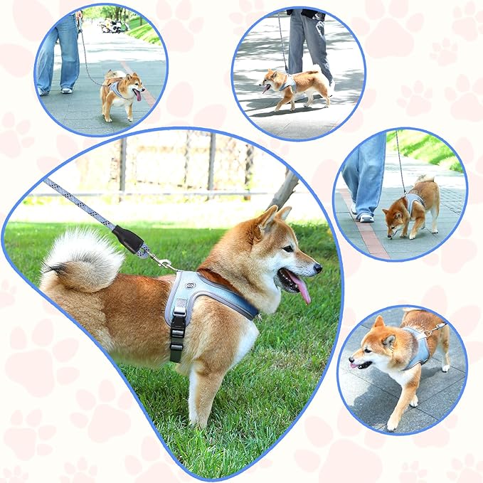 Dog Harness and Leash Set, No Pull Saddle Style Pet Harness, Breathable Mesh Adjustable Reflective Dog Vest for Dogs and Cat Medium Small Harness 2 D-Rings (Blue, XS)