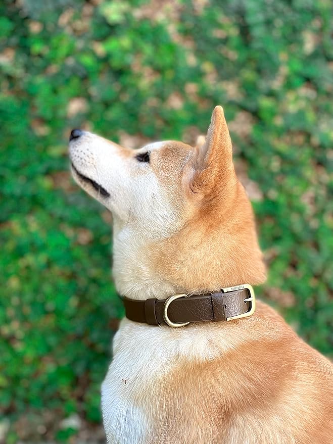 Tuff Pupper Classic Heavy Duty Dog Collar | 10x Stronger Than Leather | 100% Waterproof & Odor Proof Dog Collar | Tough Rust-Proof All Metal Hardware