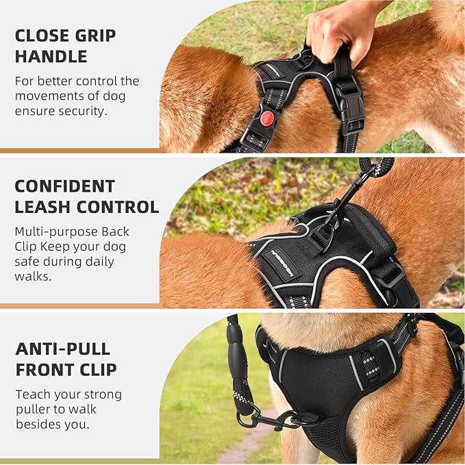 No Pull Dog Harness with A Free Heavy Duty 5ft Dog Leash, Adjustable Soft Padded Dog Vest, Reflective No-Choke Pet Oxford Vest with Easy Control Handle for Small and Large Dogs(Black, Large)