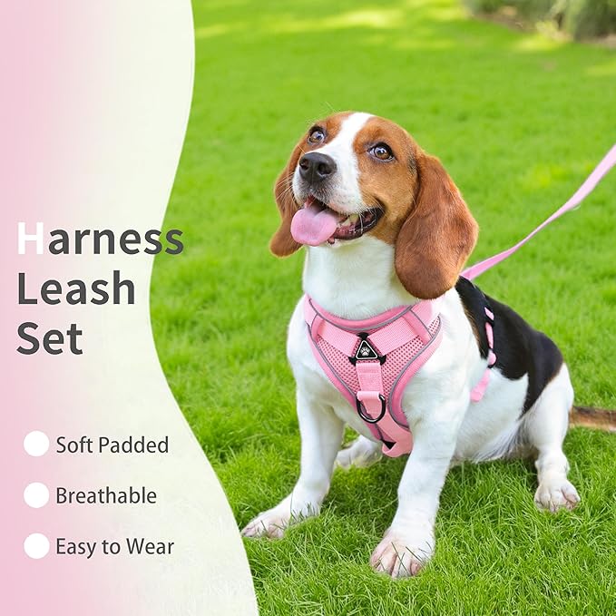 No Pull Dog Harness with Leash Set for Medium Sized Dog, Reflective Adjustable No Choke Front Clip Cat Vest Harness with Breathable Mesh, Comfortable Soft Padded Pet Vest, Pink XL