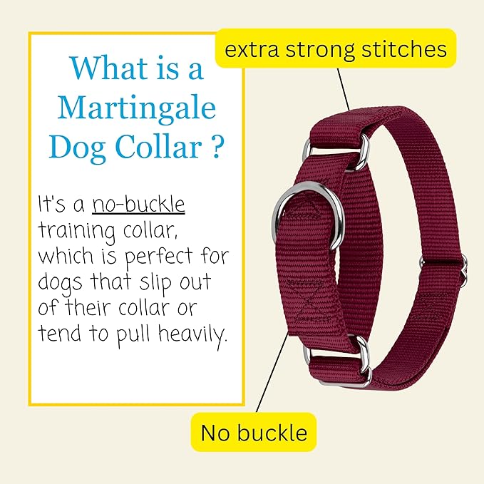 Country Brook Petz - Martingale Dog Collar - Heavy-Duty Training Collar with No Buckle - Service Dog Collar for All Pups - 10+ Warm Colors (Burgundy, 3/8 Inch, 2XS)