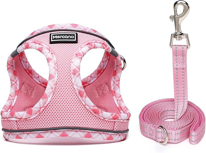 Mercano Soft Mesh Dog Harness and Leash Set, No-Chock Step-in Reflective Breathable Lightweight Easy Walk Vest Harnesses with Safety Buckle for Small Dogs, Cats (Pink, XS)
