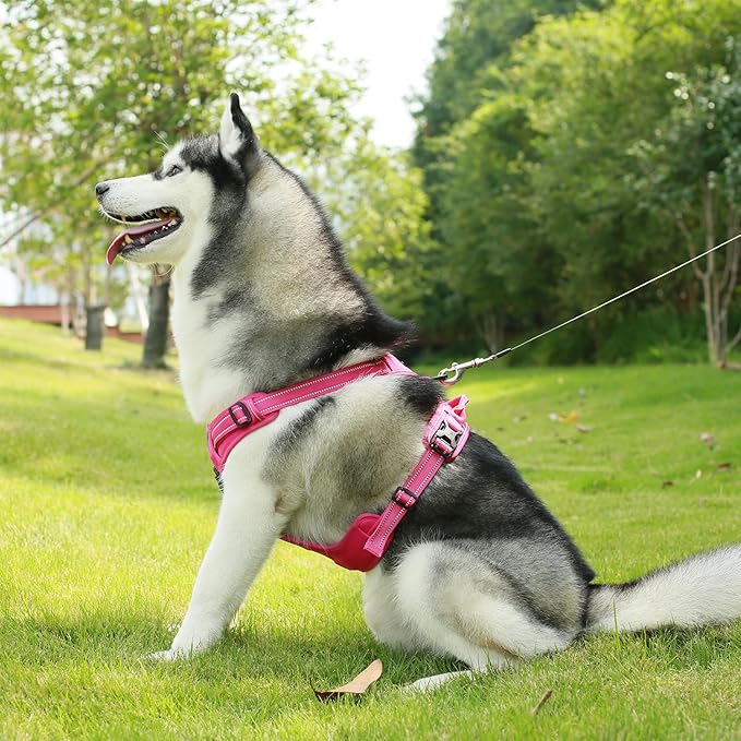 Voyager Dog Harness Dual Leash Attachment No-Pull Control Adjustable Soft but Strong Pet Harness for Medium and Large Dogs with 3M Reflective Technology, Leash Set Fuchsia Nylon, S (Chest: 16-20")