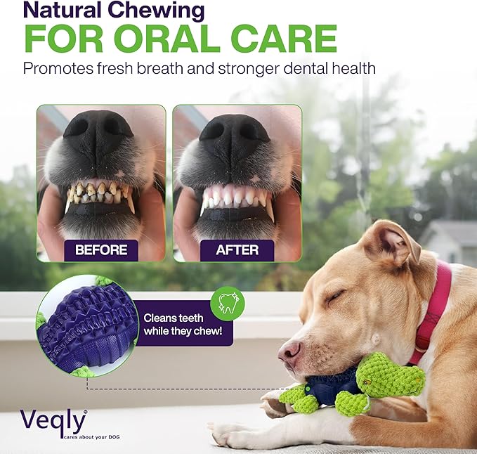 Dog Chew Toys for Small and Medium Breeds, Squeaky Dog Toys Plush, Interactive Dog Toys to Keep Them Busy, Alligator Dog Puzzle Toy, Dogs Dental Chew, Beef Flavored Chew Toy, Dogs Birthday Toy- Green