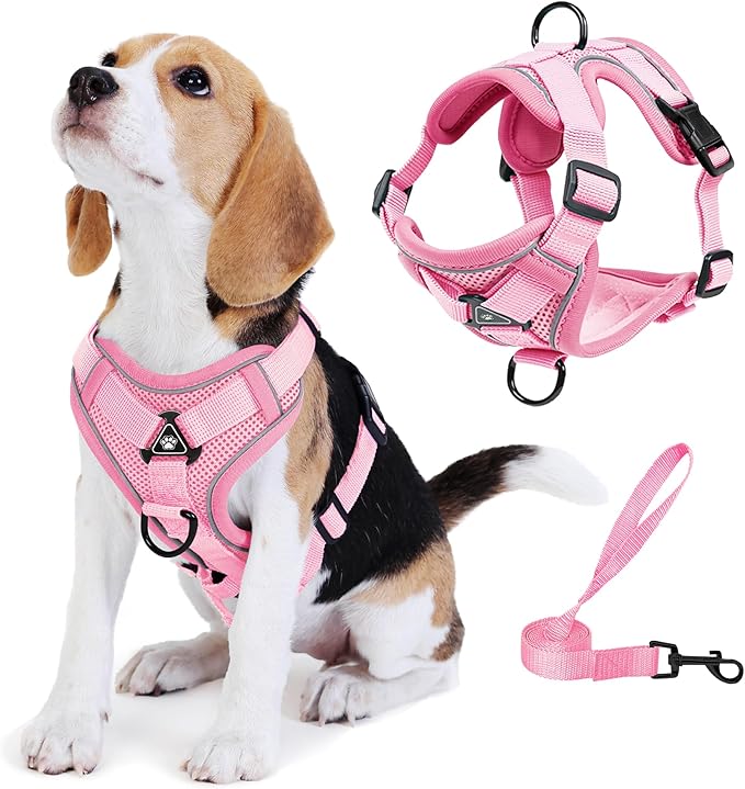 No Pull Dog Harness with Leash Set for Small Sized Dog, Reflective Adjustable No Choke Front Clip Cat Vest Harness with Breathable Mesh, Comfortable Soft Padded Pet Vest, Pink S