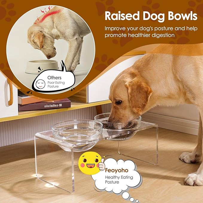 Acrylic Elevated Dog Cat Bowls Pet Feeder Double Bowl Raised Stand Comes with 2 Removable Glass Bowls and 2 Stainless Steel Bowls.Perfect for Large Dogs, 7.2" Tall
