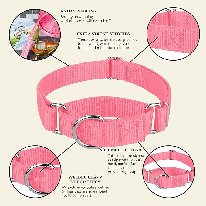Country Brook Petz - Martingale Dog Collar - Heavy-Duty Training Collar with No Buckle - Service Dog Collar for All Pups - 10+ Warm Colors (Pink, 1 Inch, Extra Large)