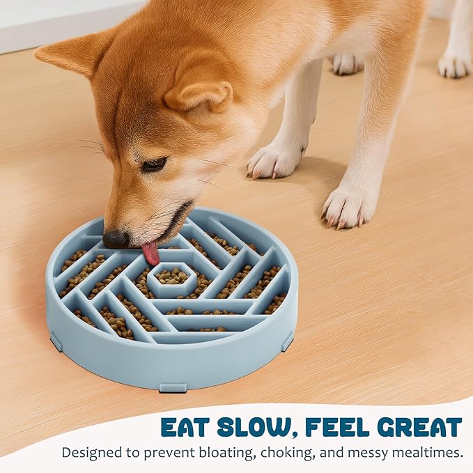 WHIPPY Slow Feeder Dog Bowl, Puzzle Maze Design to Slow Down Eating, 3-Cup Capacity, Anti-Gulping Food Bowl for Medium & Large Dogs,Blue