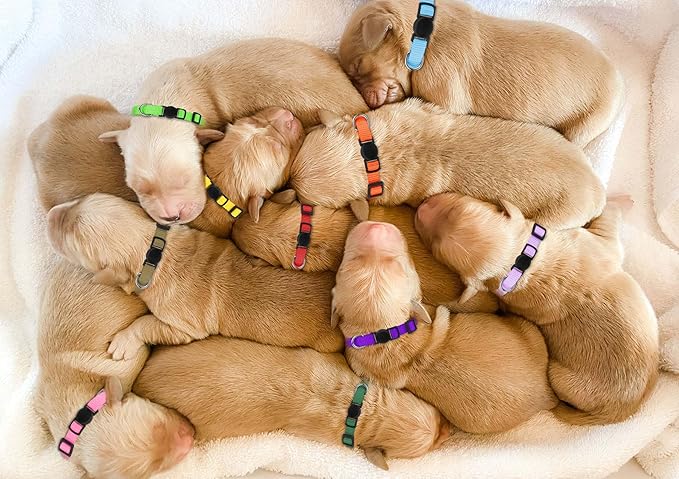 20 Pack Puppy Collars for Small Puppies Litter Safety Buckle Soft Nylon Whelping Collars Newborn Puppy Collars for Litter Puppies Collars(S)