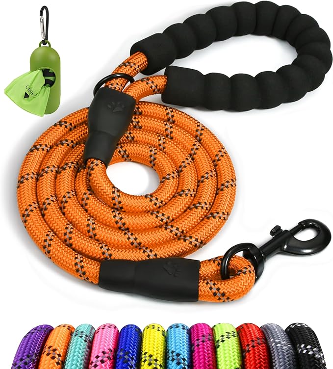 Taglory Rope Dog Leash 4 FT with Comfortable Padded Handle, Highly Reflective Threads Leash for Small Dogs, 3/8 inch, Orange