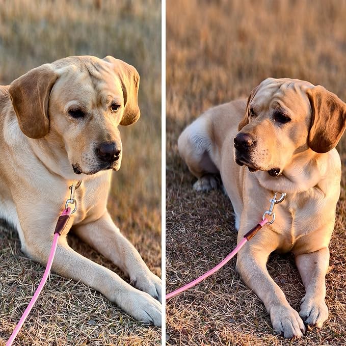 MayPaw 4/6 /8/10 FT Dog Leash, Classic Solid Colors, Strong Nylon Rope Dog Leash Reinforced with Leather Tailor Connection Heavy Duty Silver Clasp (Pink, 6ft*1/2")