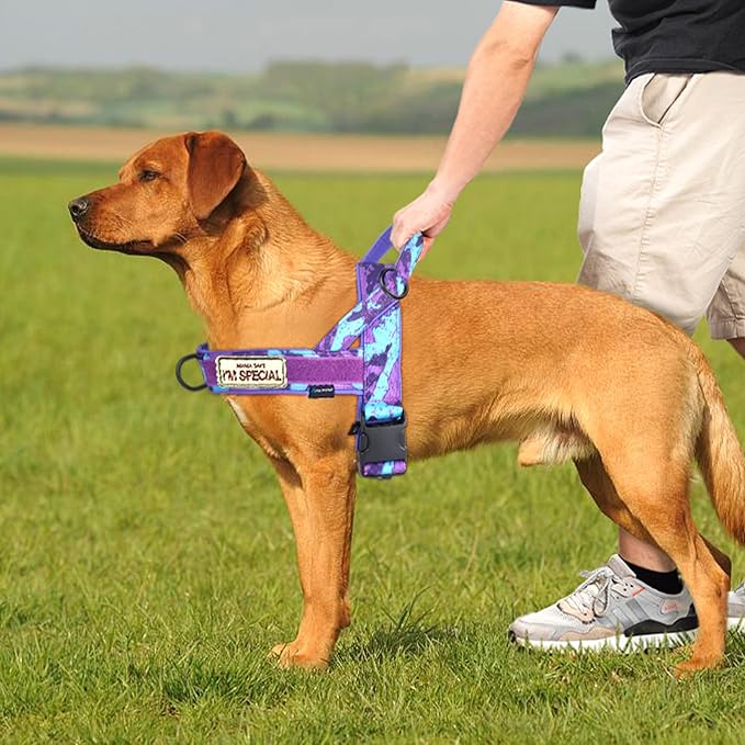 Annchwool No Pull Dog Harness with Soft Padded Handle,Escape Proof and Quick Fit to Adjust Dog Harness,Easy for Training Walking for Small & Medium and Large Dogs(Camo Purple,XL)