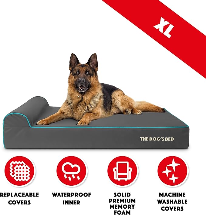 The Dog’s Bed Orthopedic Memory Foam Dog Bed with Headrest, Oxford Fabric, Grey with Blue Trim, XL, 6-Inch