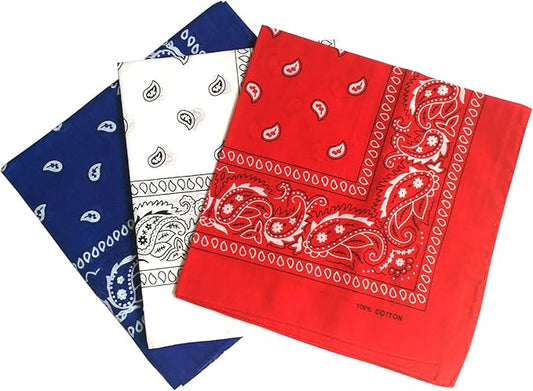 combocube 12 Pack(one Dozen) Multi-Purpose Cotton Paisley Cowboy Bandanas Headband for Men and Women