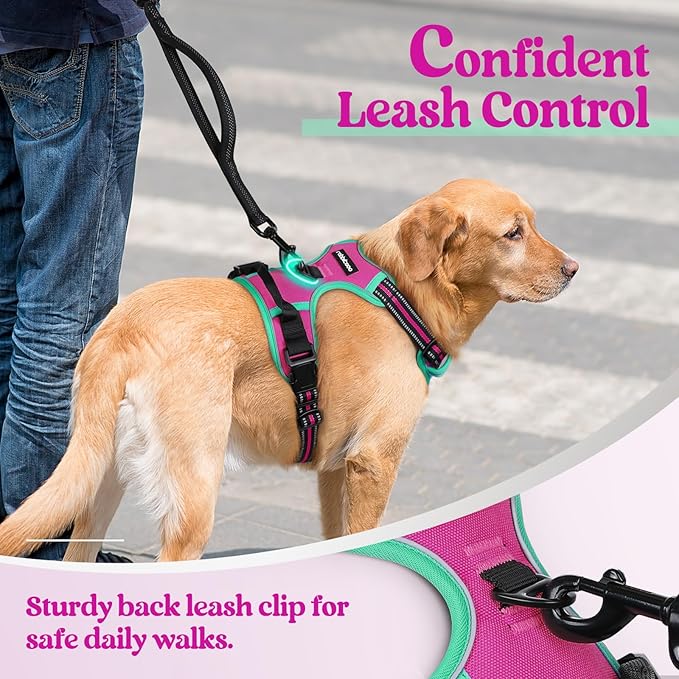 rabbitgoo Dog Harness No Pull with 2 Leash Clips, Adjustable Soft Padded, Reflective Oxford No Choke Pet Vest with Easy Control Handle for Large Dogs, Hot Pink & Turquoise, M