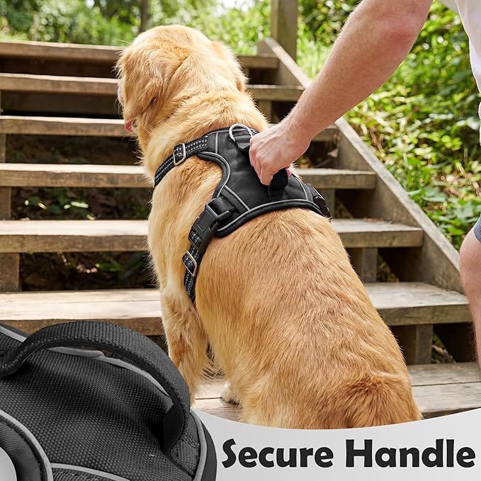Funfox Dog Harness No Pull, Adjustable Pet Vest Harness, Super Soft Material with Vertical Handle Easy Control, Reflective Night Walking, 2 Leash Clips for Medium Sized Dogs, Black, M