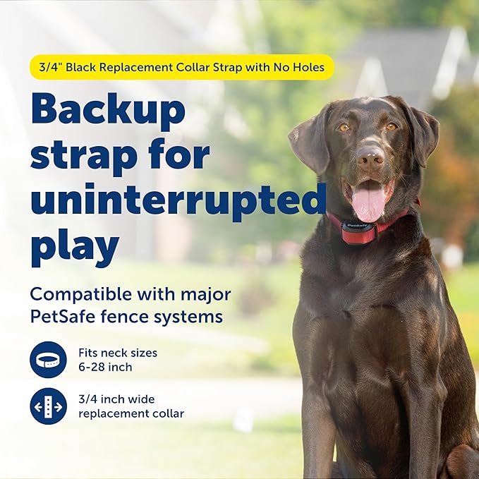 PetSafe 3/4" Rust Replacement Collar Strap with No Holes - Adjustable Strap - Durable Nylon Design - Quick-Snap Buckle - Compatible with Wireless Fence & Bark Collars - 30" - Black