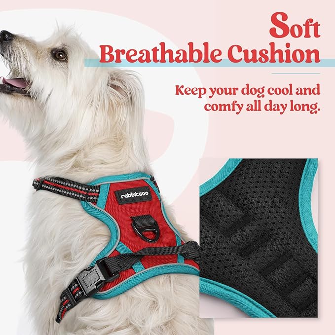 rabbitgoo Dog Harness No Pull with 2 Leash Clips, Adjustable Soft Padded, Reflective Oxford No Choke Pet Vest with Easy Control Handle for Puppy, Red & Teal, XS