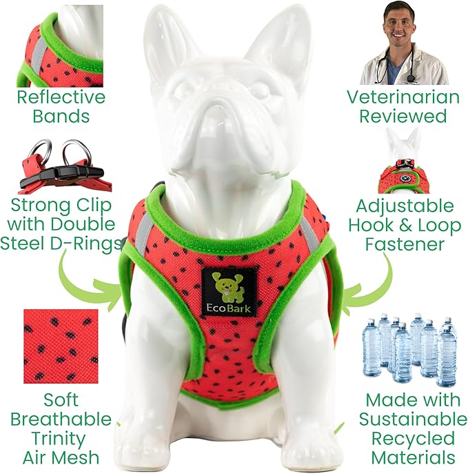 EcoBark Step in Dog Harness - Eco-Friendly Small & Mediuim Breed Dog Harnesses for XS and Small Dogs - Reflective and Adjustable Mini Body Halter Vest - Soft Mesh Toy Breed Harness (Watermelon, Large)