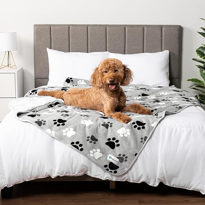 PetAmi Waterproof Dog Blanket for Medium & Large Dogs, Reversible Pee Proof for Puppy & Cat, Soft Washable Dog Crate Cover, 60x80 Gray