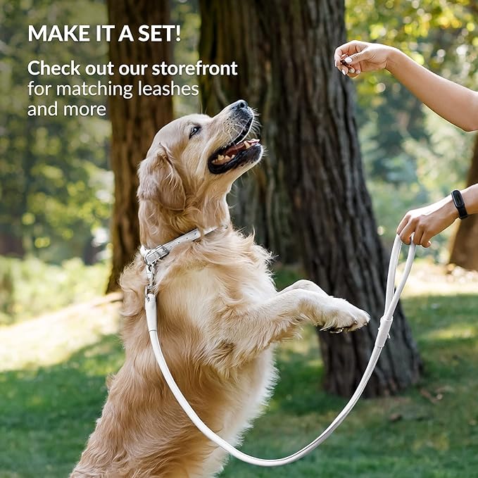 CollarDirect Rolled Leather Dog Collar, Soft Padded Round Puppy Collar, Handmade Genuine Leather Collar Dog Small Large Cat Collars 13 Colors (12-15 Inch, White Smooth)