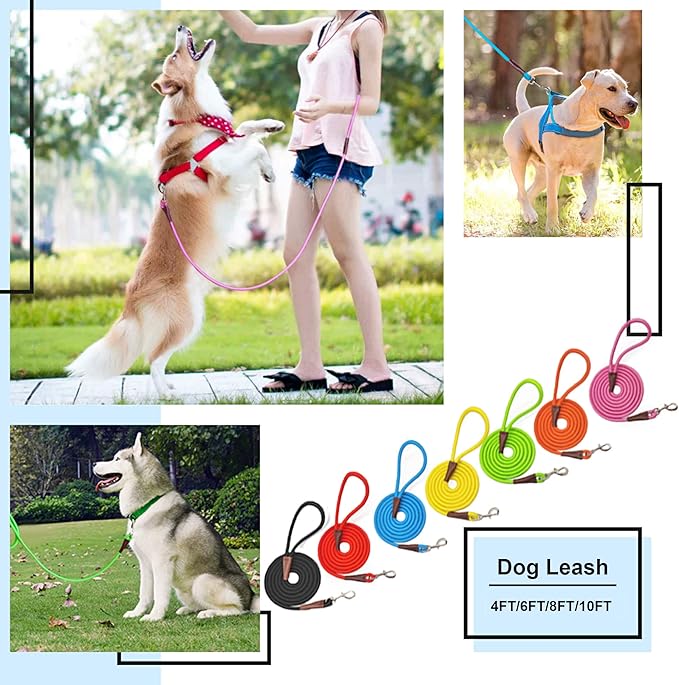 MayPaw 4/6 /8/10 FT Dog Leash, Classic Solid Colors, Strong Nylon Rope Dog Leash Reinforced with Leather Tailor Connection Heavy Duty Silver Clasp (10ft*1/2", Blue)