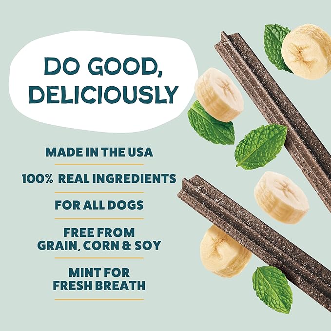 Shameless Pets Dental Treats for Dogs, Banana Bone-Anza - Healthy Dental Sticks with Hip & Joint Support for Teeth Cleaning & Fresh Breath - Chews Free from Grain, Corn & Soy