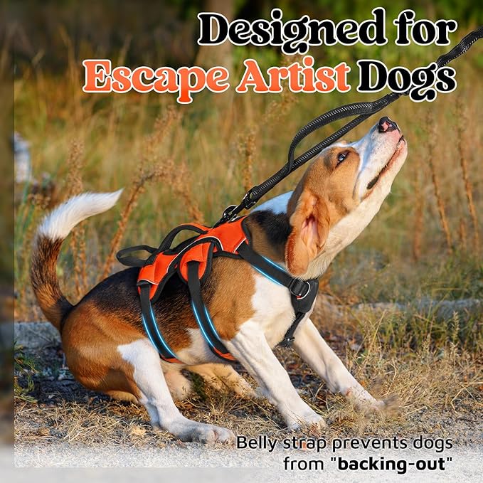 rabbitgoo Escape Proof Dog Harness, Soft Padded Full Body Pet Harness, Reflective Adjustable No Pull Vest with Lift Handle and Lesh Clip for Large Dogs Walking Hiking Training, S, Orange